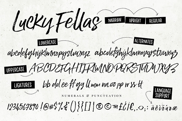 Lucky Fellas Brush Script + Extras in Brush Fonts - product preview 12