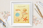 Collection of sea shells posters.