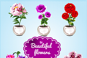 Six varieties of flowers in pot