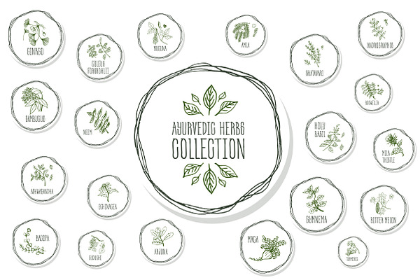 Ayurvedic Herb Collection