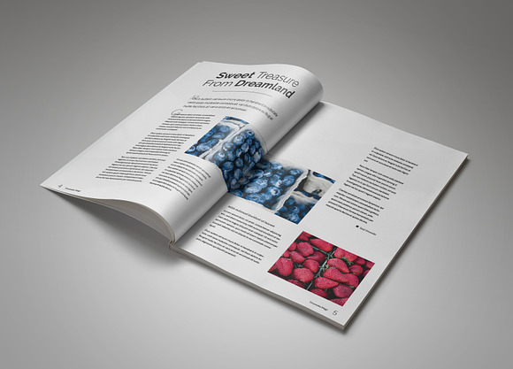 Vinsmoke Magazine in Magazine Templates - product preview 2