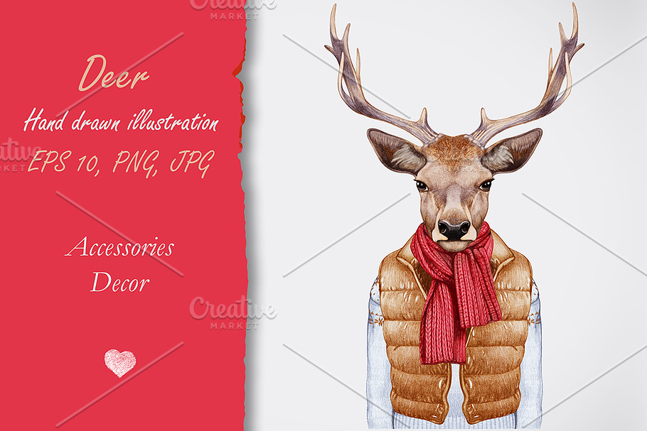 Deer / Winter time in Illustrations - product preview 8