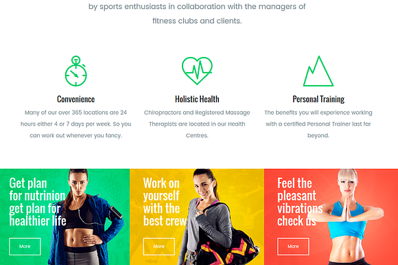 Fitness WordPress Theme in WordPress Business Themes - product preview 1