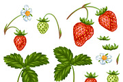 Set of red strawberries.