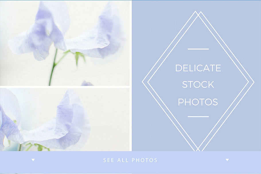 Delicate Floral Stock Photos