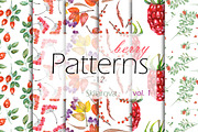 berry Patterns 12, vol. 1