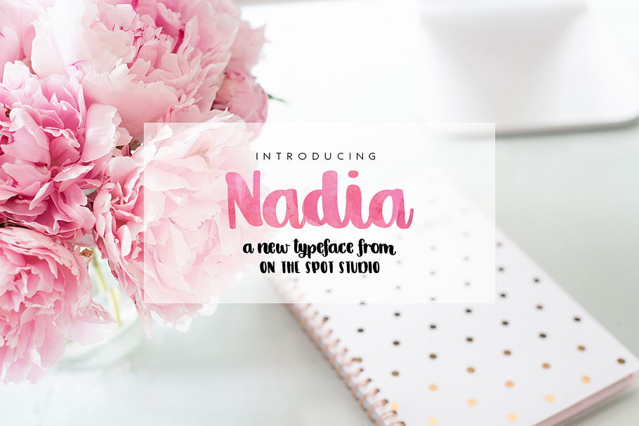 Nadia Script in Script Fonts - product preview 8