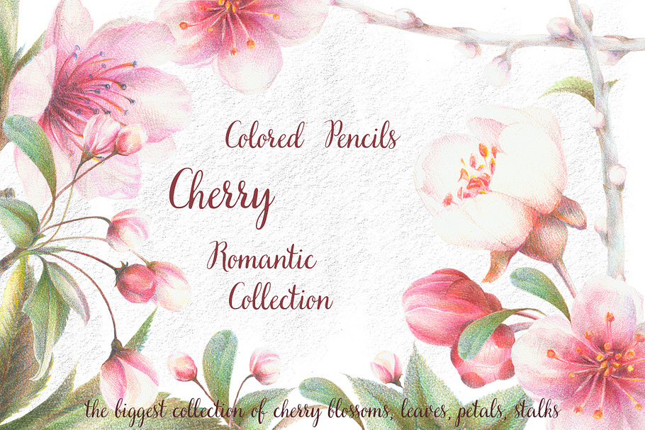 Cherry Romantic Collection
