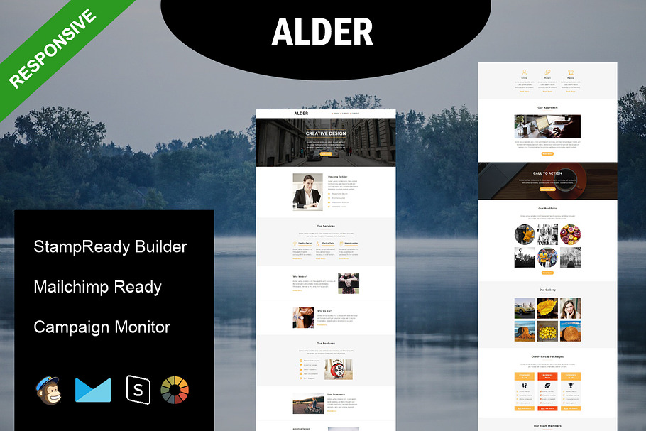 ALDER - Responsive Email Template in Mailchimp Templates - product preview 8