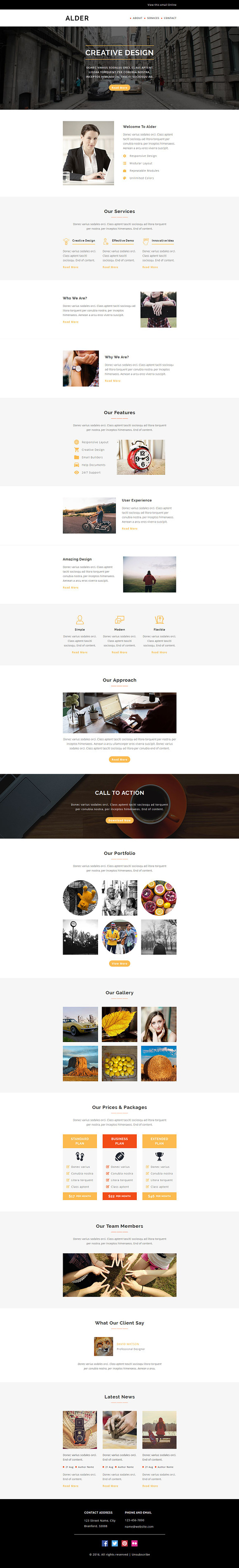 ALDER - Responsive Email Template in Mailchimp Templates - product preview 1