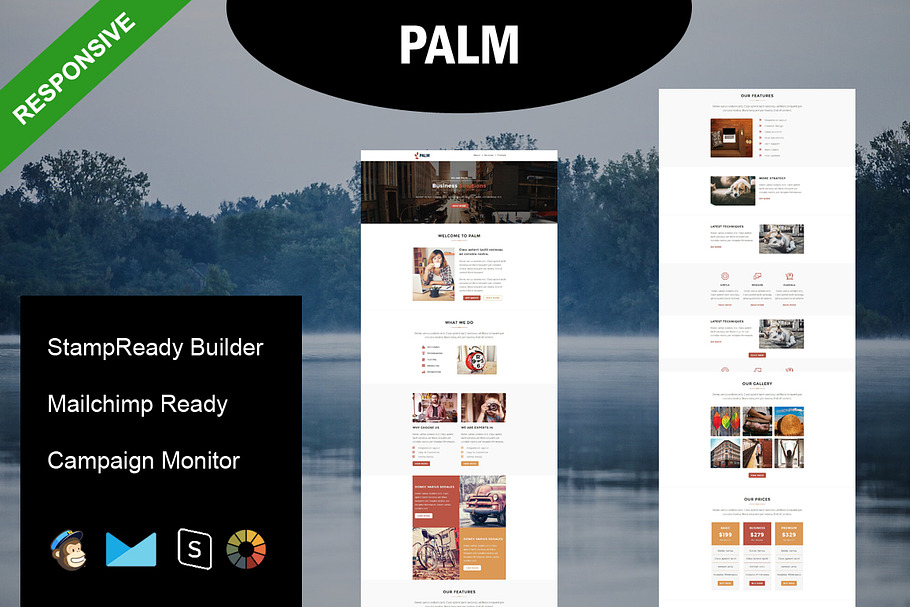 PALM - Responsive Email Template in Mailchimp Templates - product preview 8
