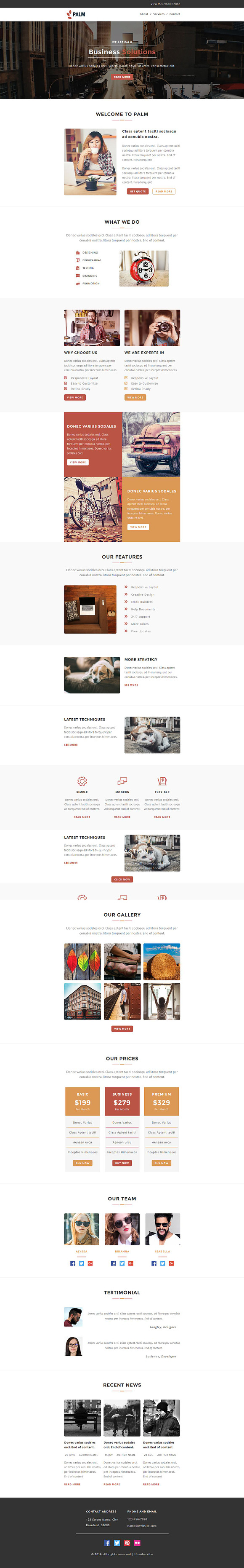 PALM - Responsive Email Template in Mailchimp Templates - product preview 1