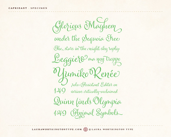 Caprizant Family in Script Fonts - product preview 8