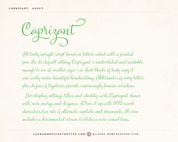 Caprizant Family in Script Fonts - product preview 9