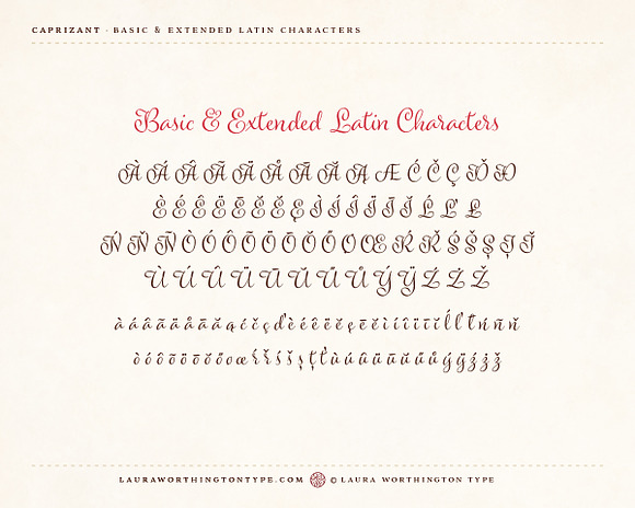 Caprizant Family in Script Fonts - product preview 12