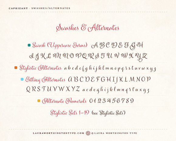 Caprizant Family in Script Fonts - product preview 13