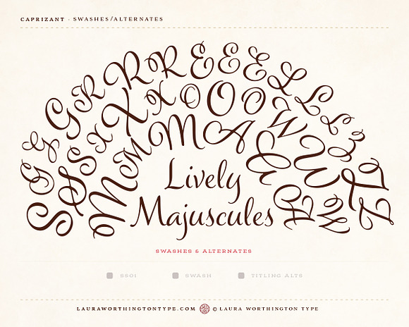 Caprizant Family in Script Fonts - product preview 27