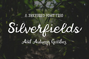 Silverfields - Font Trio + More