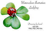 Watercolour illustration ladybug