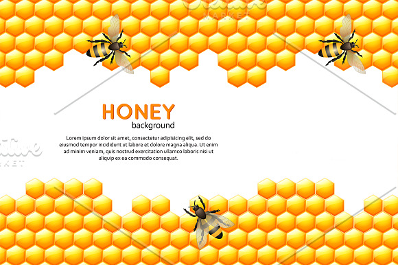 Honey bee vector set in Illustrations - product preview 1