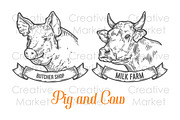 Cow and Pig hand drawn illustration