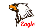 Hawk or eagle graphic mascot