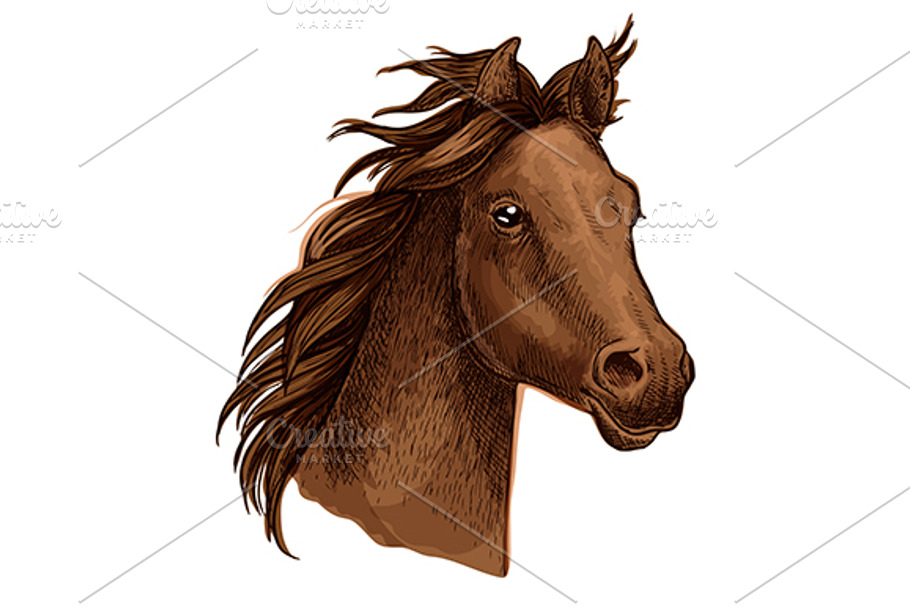 Brown horse in Graphics - product preview 8