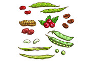Nuts, kernels and berries