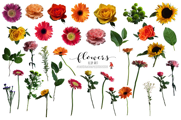 Flowers clip art, floral clipart in Illustrations - product preview 1