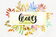 Watercolor leaves, branches png