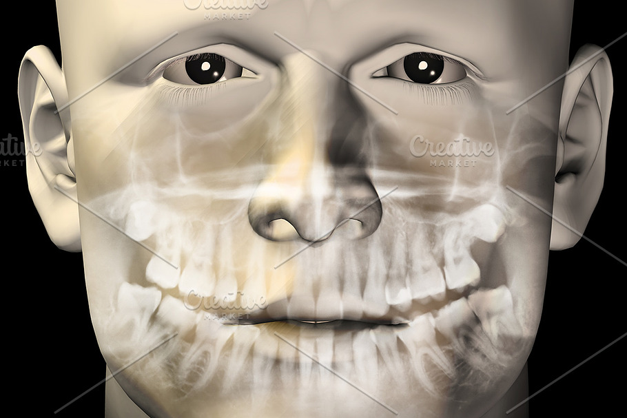 Male Dental Scan in Illustrations - product preview 8