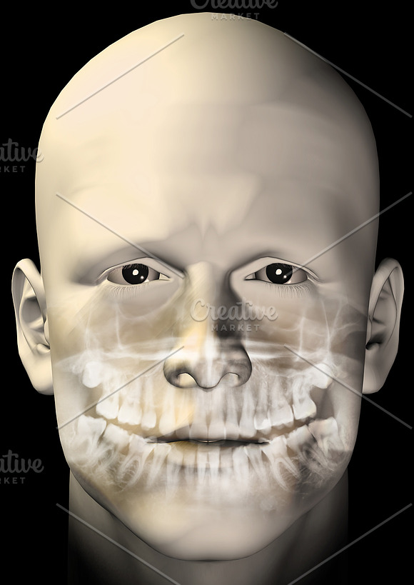 Male Dental Scan in Illustrations - product preview 1