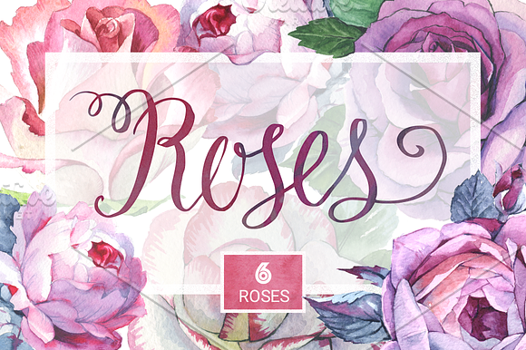Watercolor roses PNG romantic set in Illustrations - product preview 4