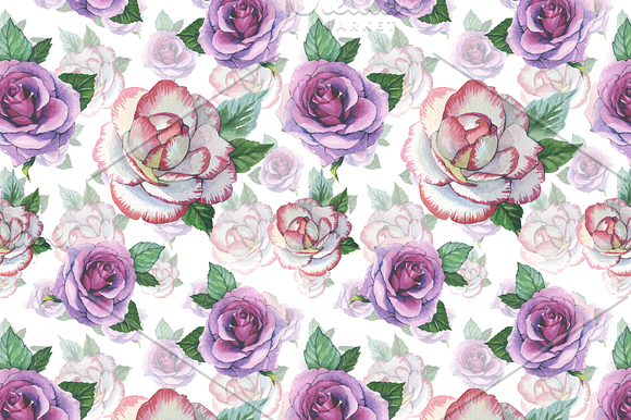 Watercolor roses PNG romantic set in Illustrations - product preview 5