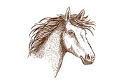 Sketched stallion horse icon