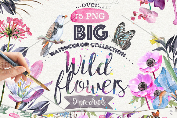   Wildflowers pack 75 PNG in Illustrations - product preview 15