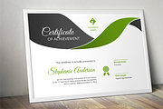 Modern curve certificate