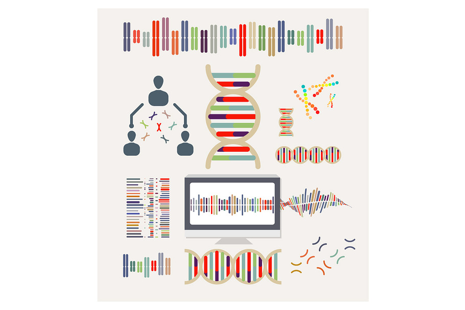 DNA and Chromosomes Vector Icons