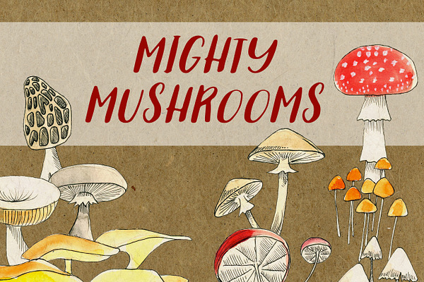 Mighty Mushrooms Watercolor Clip Art