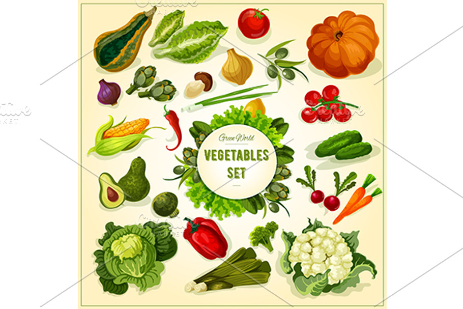 Farm vegetables and herbs in Graphics - product preview 8