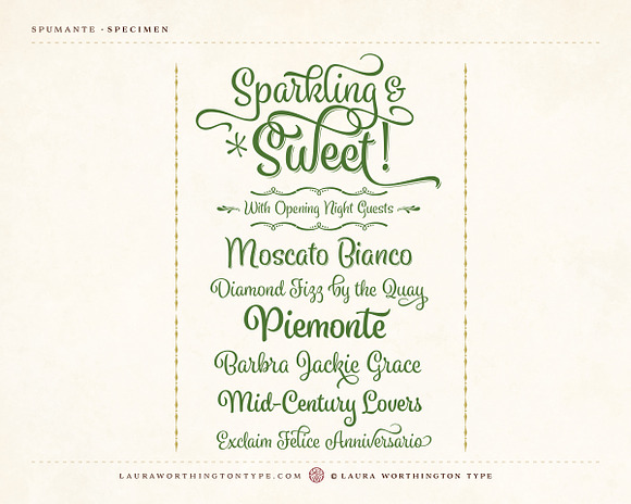Spumante Family in Script Fonts - product preview 5