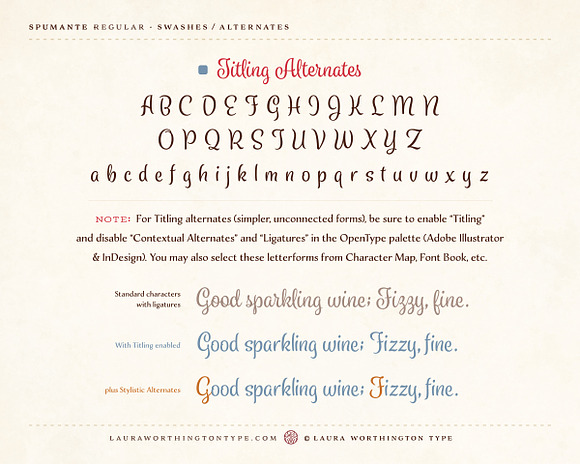 Spumante Family in Script Fonts - product preview 10