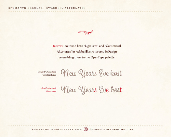 Spumante Family in Script Fonts - product preview 11