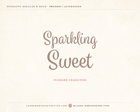 Spumante Family in Script Fonts - product preview 22
