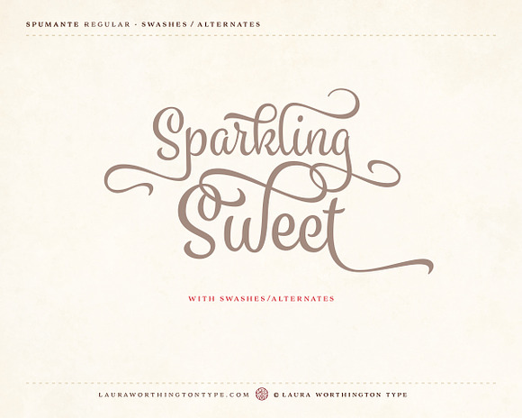 Spumante Family in Script Fonts - product preview 23