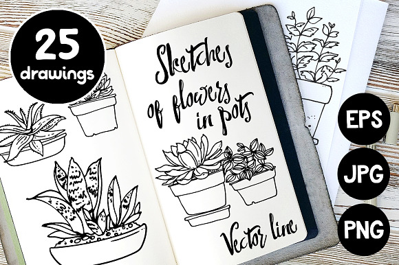 Vector sketches of flowers in pots in Illustrations - product preview 1