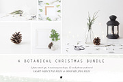 The Botanical Christmas BUNDLE