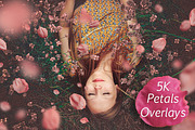 5K Petals Overlays