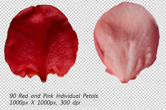 5K Petals Overlays in Objects - product preview 1