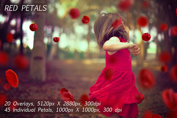 5K Petals Overlays in Objects - product preview 4